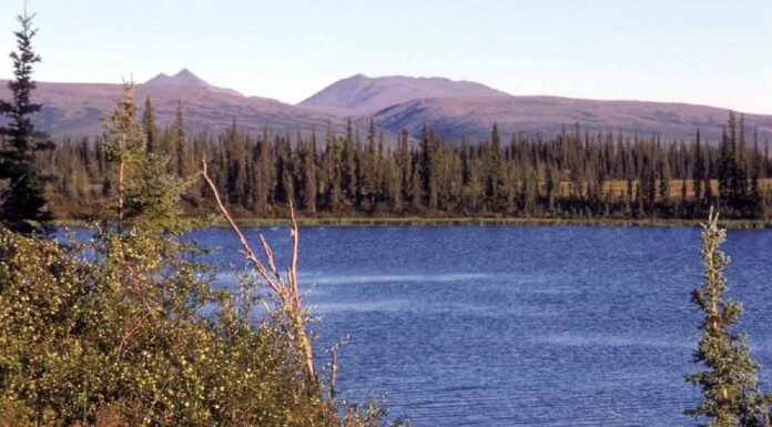 Pesca sul lago Selawik, dimensioni, profondità e altro ancora
