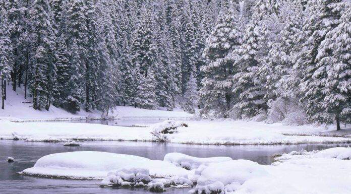 La più grande tempesta di neve di aprile nella storia della California ha scaricato una quantità assurda di neve
