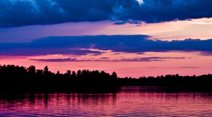 Incontra i 4 più grandi proprietari terrieri del Minnesota
