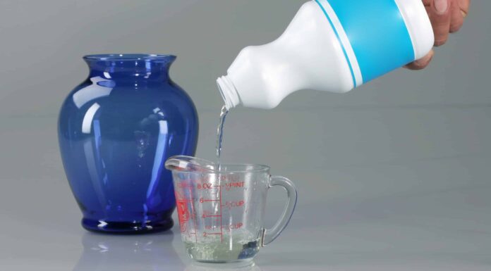  La candeggina ucciderà le mosche?  È sicuro?
