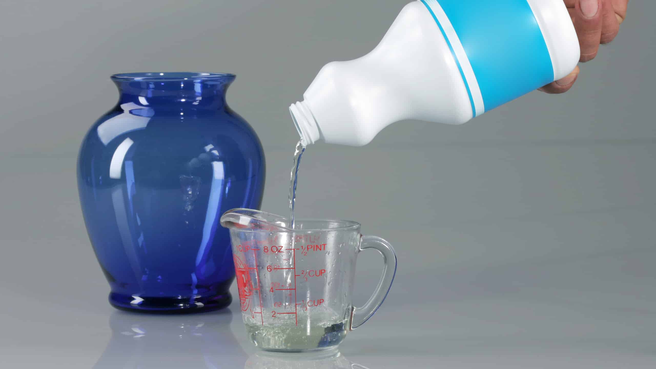 La candeggina ucciderà le mosche?  È sicuro?