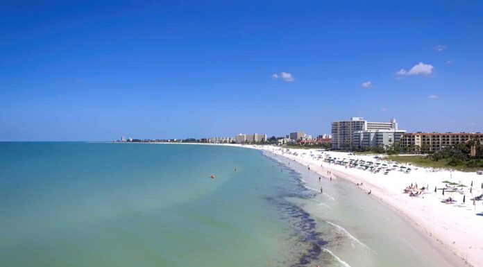 Scopri la città della Florida con le peggiori allergie stagionali
