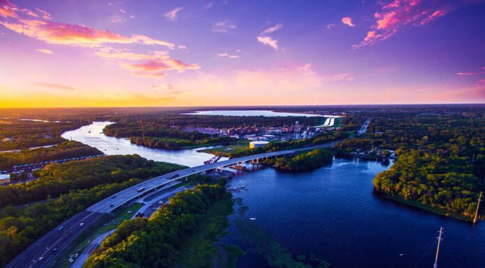 Scopri i 4 fiumi più infestati da serpenti in Florida
