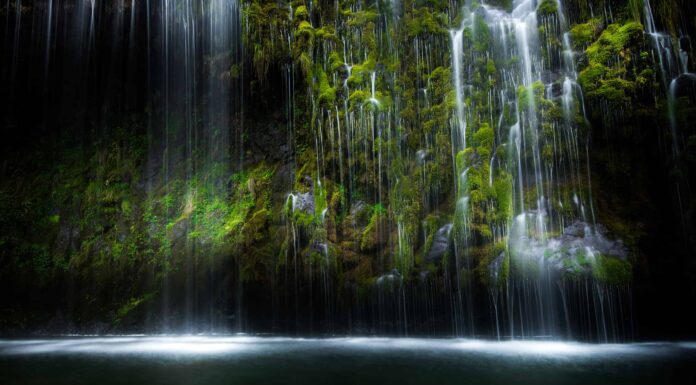 Scopri Mossbrae Falls: la splendida cascata 