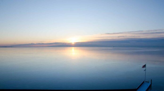 Scopri 30 animali che vivono dentro e intorno ai laghi
