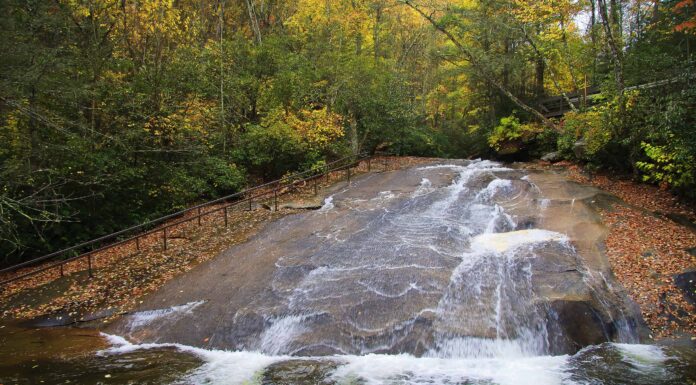 I migliori spot per nuotare nella Carolina del Nord: laghi, fiumi e altro

