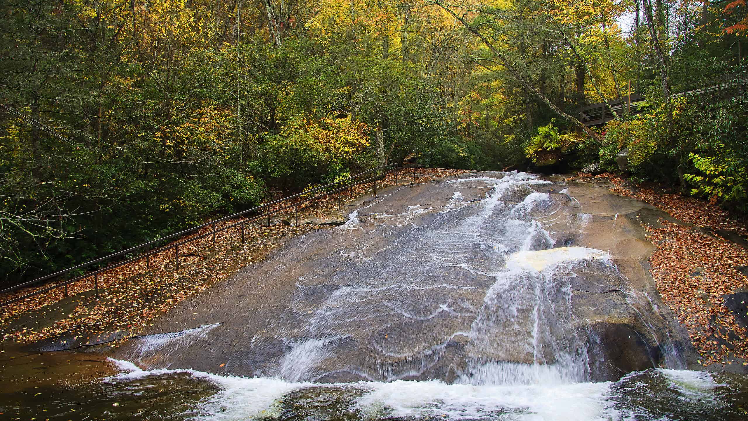 I migliori spot per nuotare nella Carolina del Nord: laghi, fiumi e altro