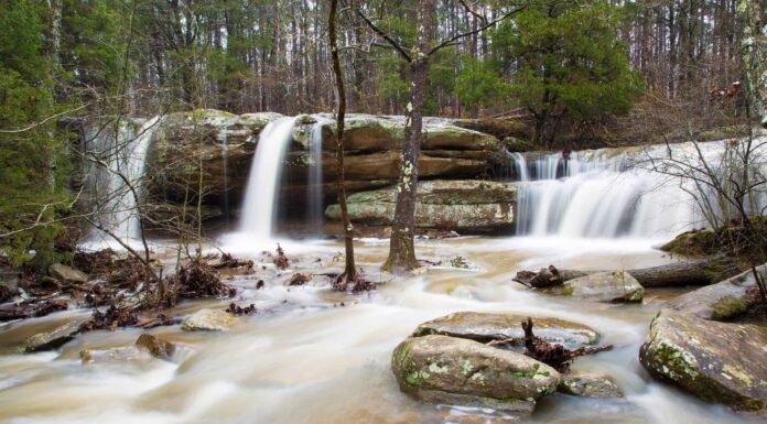 Scopri la cascata più alta dell'Illinois
