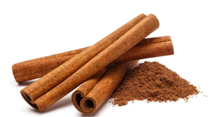 Scopri 6 odori che i ragni odiano assolutamente
