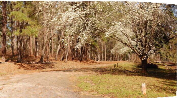 6 città fantasma più spettrali e misteriose del Texas
