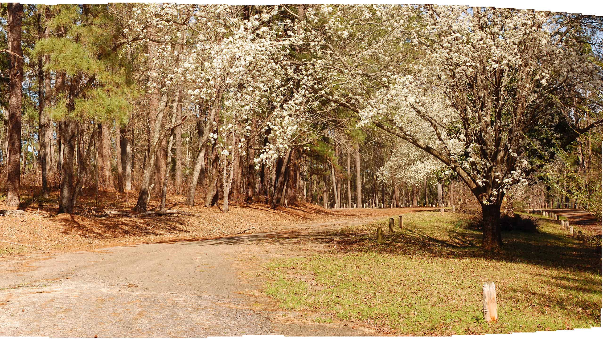 6 città fantasma più spettrali e misteriose del Texas