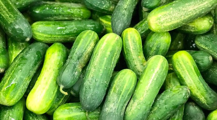 12 tipi di gustosi cetrioli
