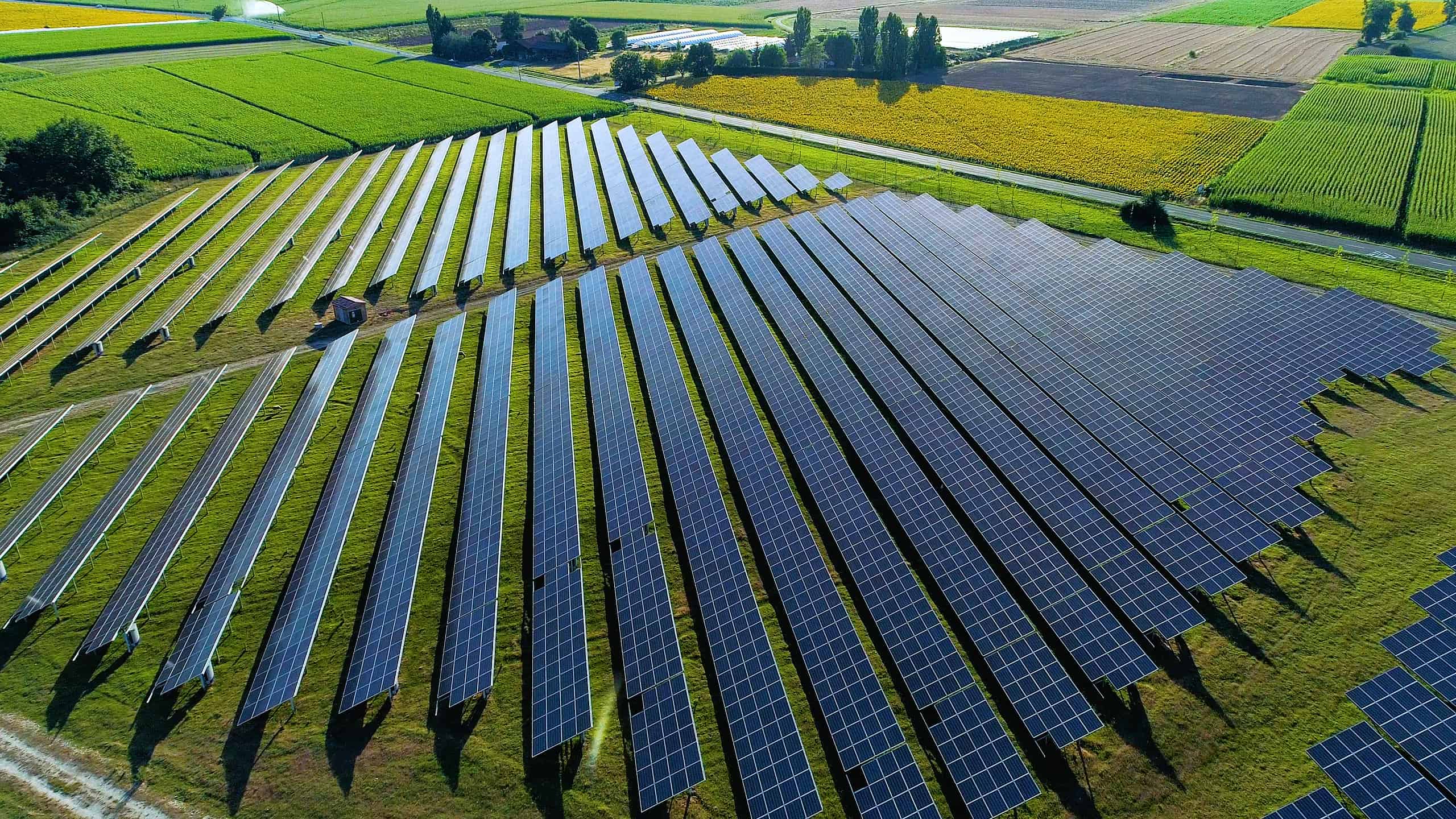 Scopri la più grande fattoria solare dell'Ohio (e ciò che vive intorno ad essa)