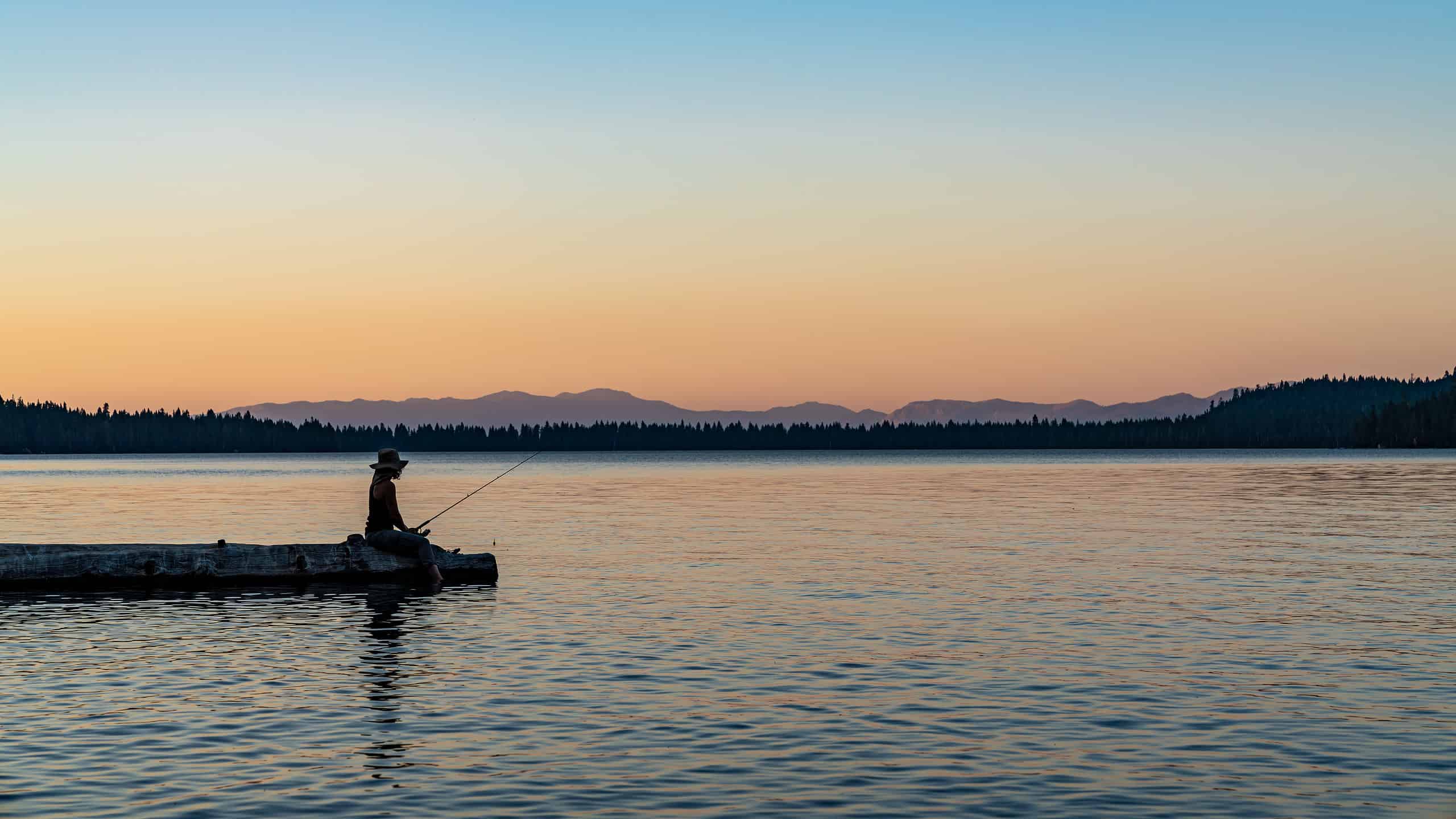 Scopri 5 fantastici pesci che vivono nel lago Tahoe