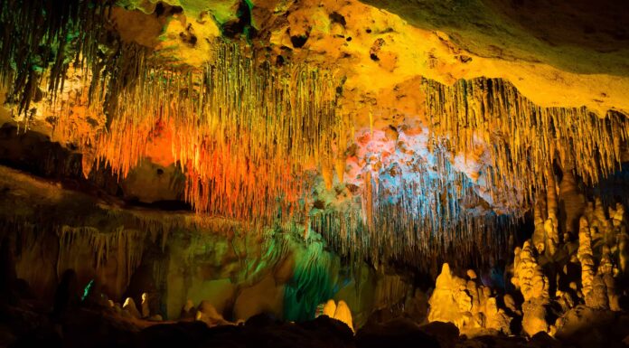 Scopri la grotta più grande della Florida (e guarda i serpenti e i ragni che vivono all'interno)
