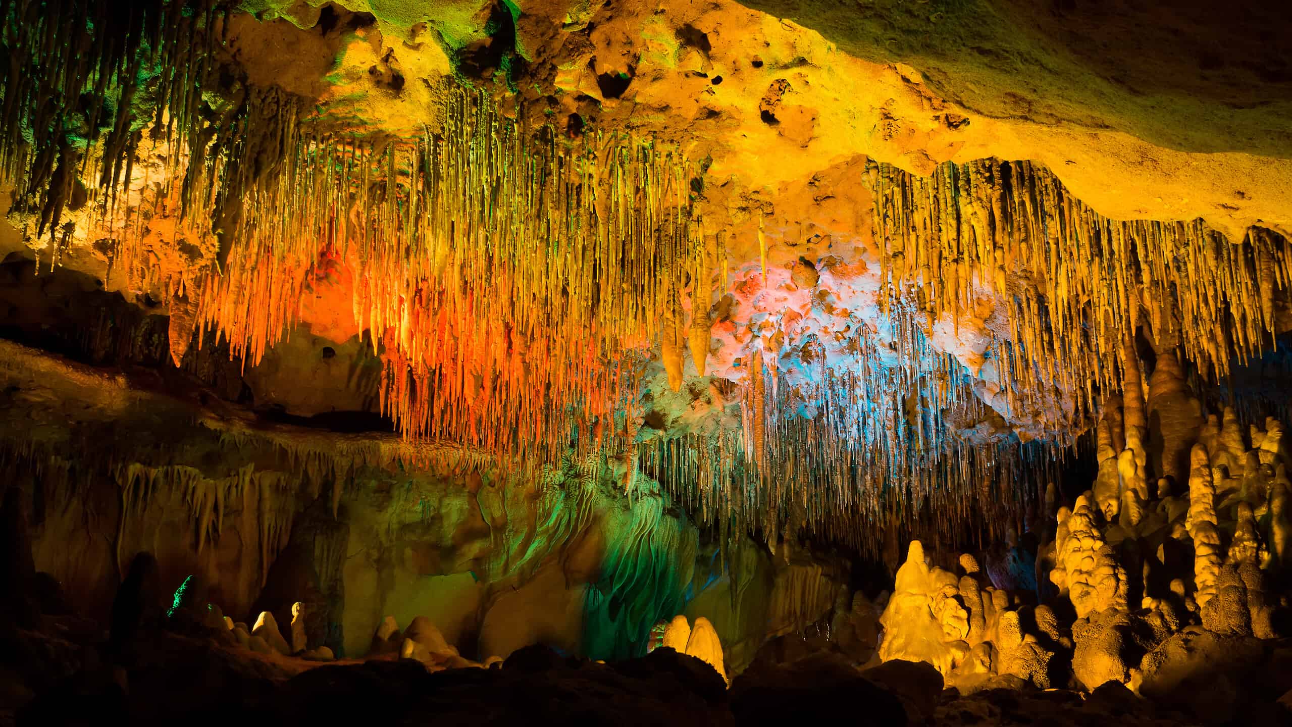 Scopri la grotta più grande della Florida (e guarda i serpenti e i ragni che vivono all'interno)