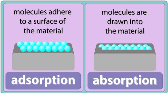 Assorbimento vs adsorbimento: differenze chiave ed esempi
