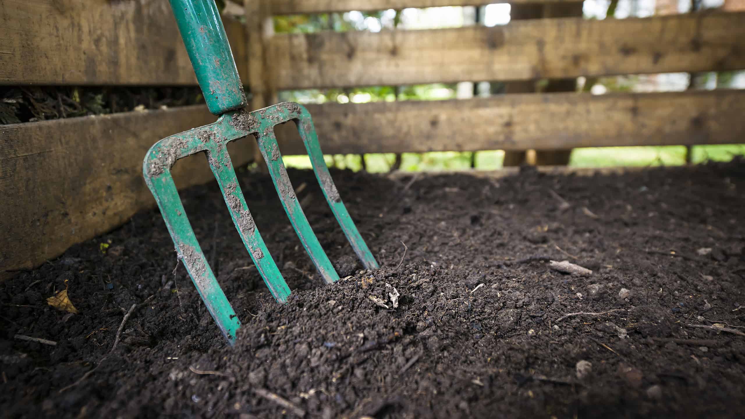 Cosa devono sapere i giardinieri dell'Iowa questa primavera