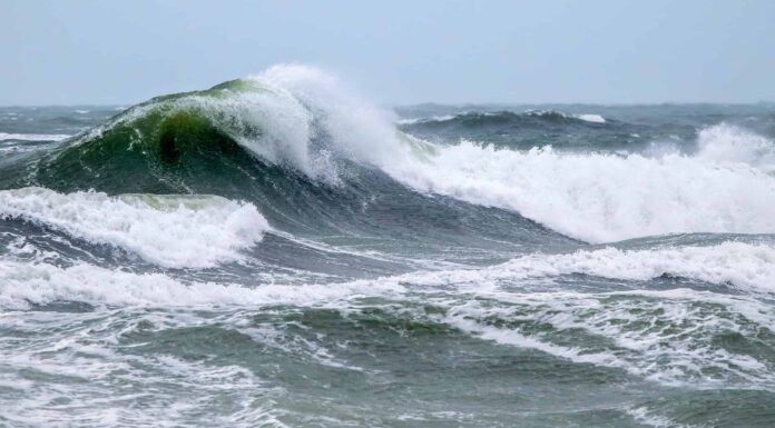 Guarda il filmato straziante di un'enorme onda che si schianta contro una nave da crociera
