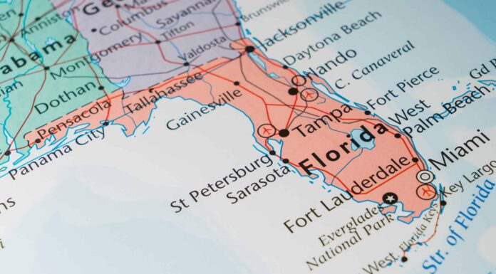 Incontra gli 11 più grandi proprietari terrieri della Florida
