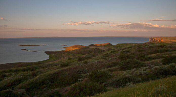 Pesca sul lago Fort Peck, dimensioni, profondità e altro ancora
