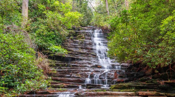 Panther Creek Falls