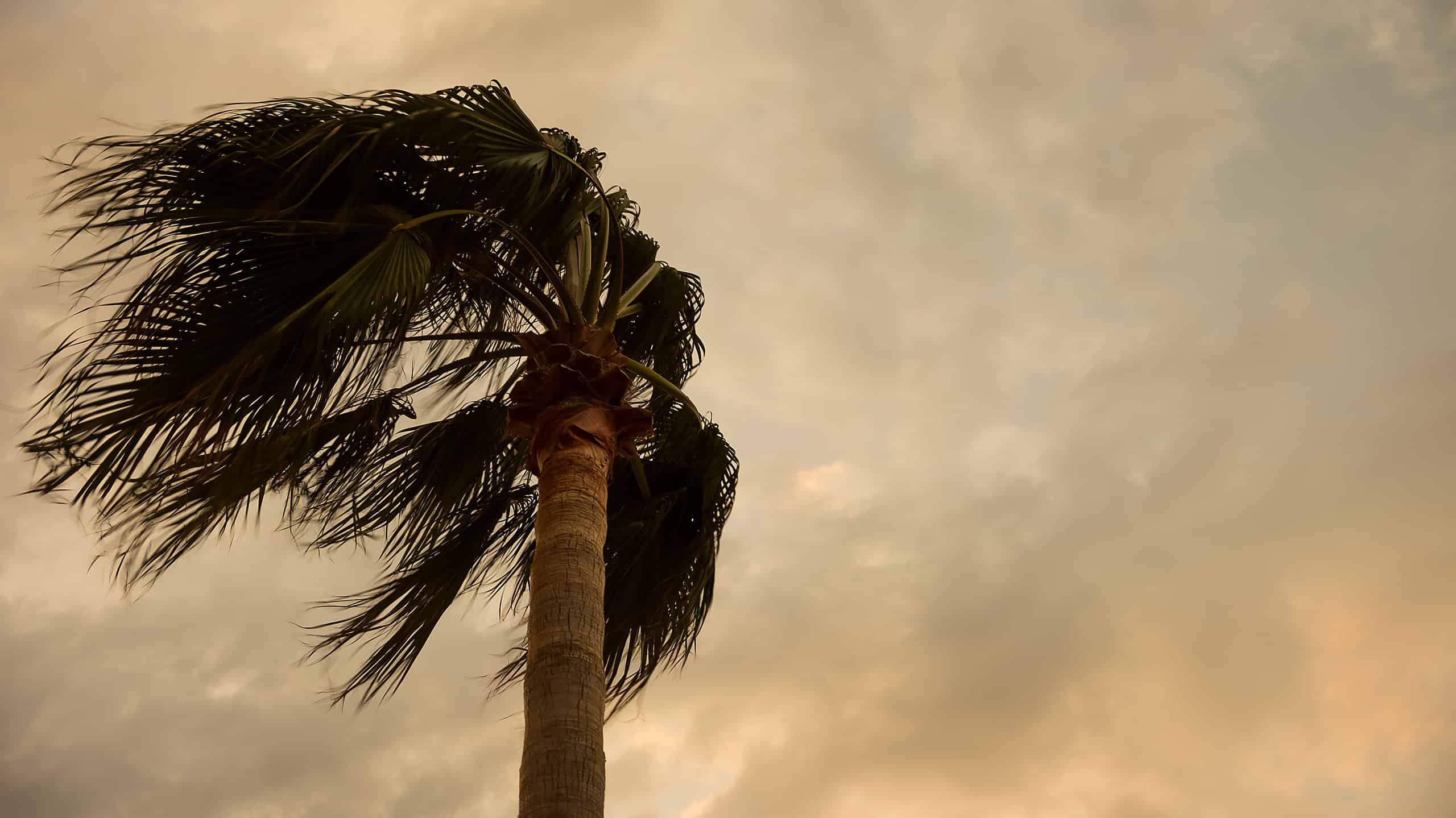 Scopri la città della Florida con la peggiore qualità dell'aria dello stato