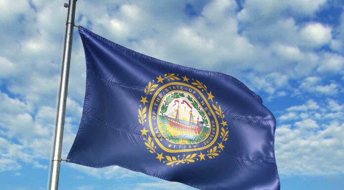 Scopri la foresta più grande del New Hampshire (e ciò che vive al suo interno)
