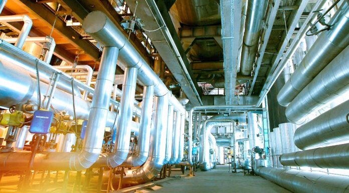 Scopri la più grande centrale nucleare dell'Arizona (e ciò che vive intorno ad essa)
