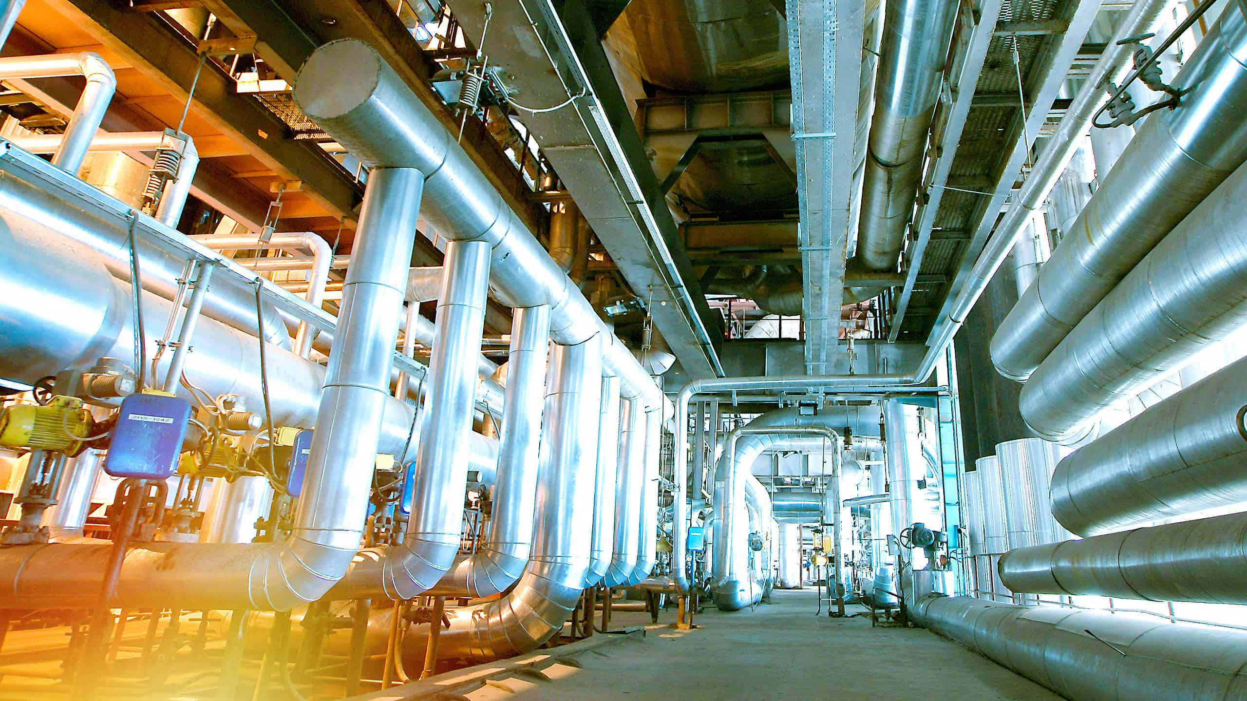 Scopri la più grande centrale nucleare dell'Arizona (e ciò che vive intorno ad essa)