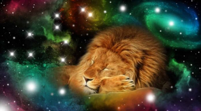 Zodiaco del 4 agosto: tratti della personalità del segno, compatibilità e altro
