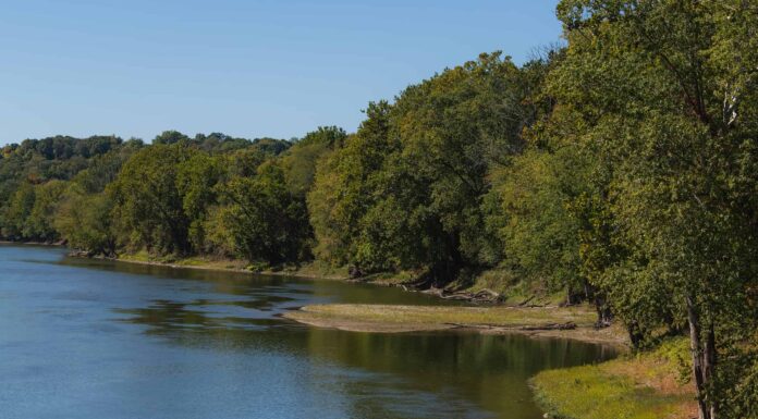 Fauna selvatica, dimensioni, attività e altro del fiume Wabash
