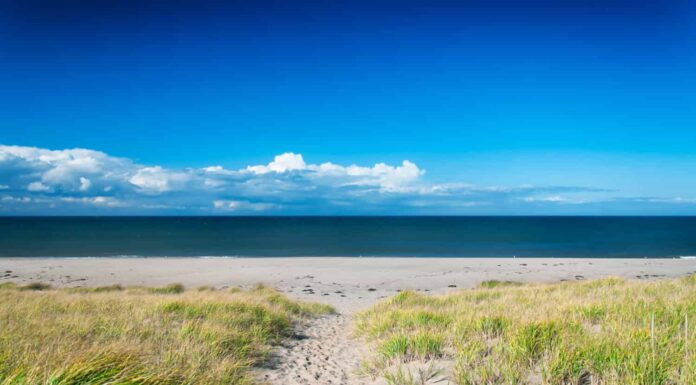 Le 9 migliori spiagge del Massachusetts
