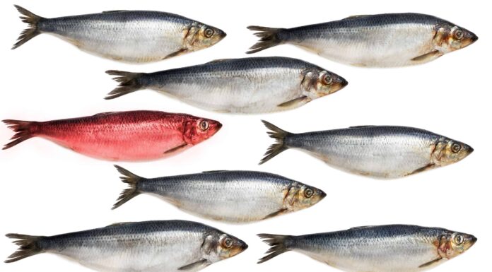 Una falsa pista: significato e origine rivelati
