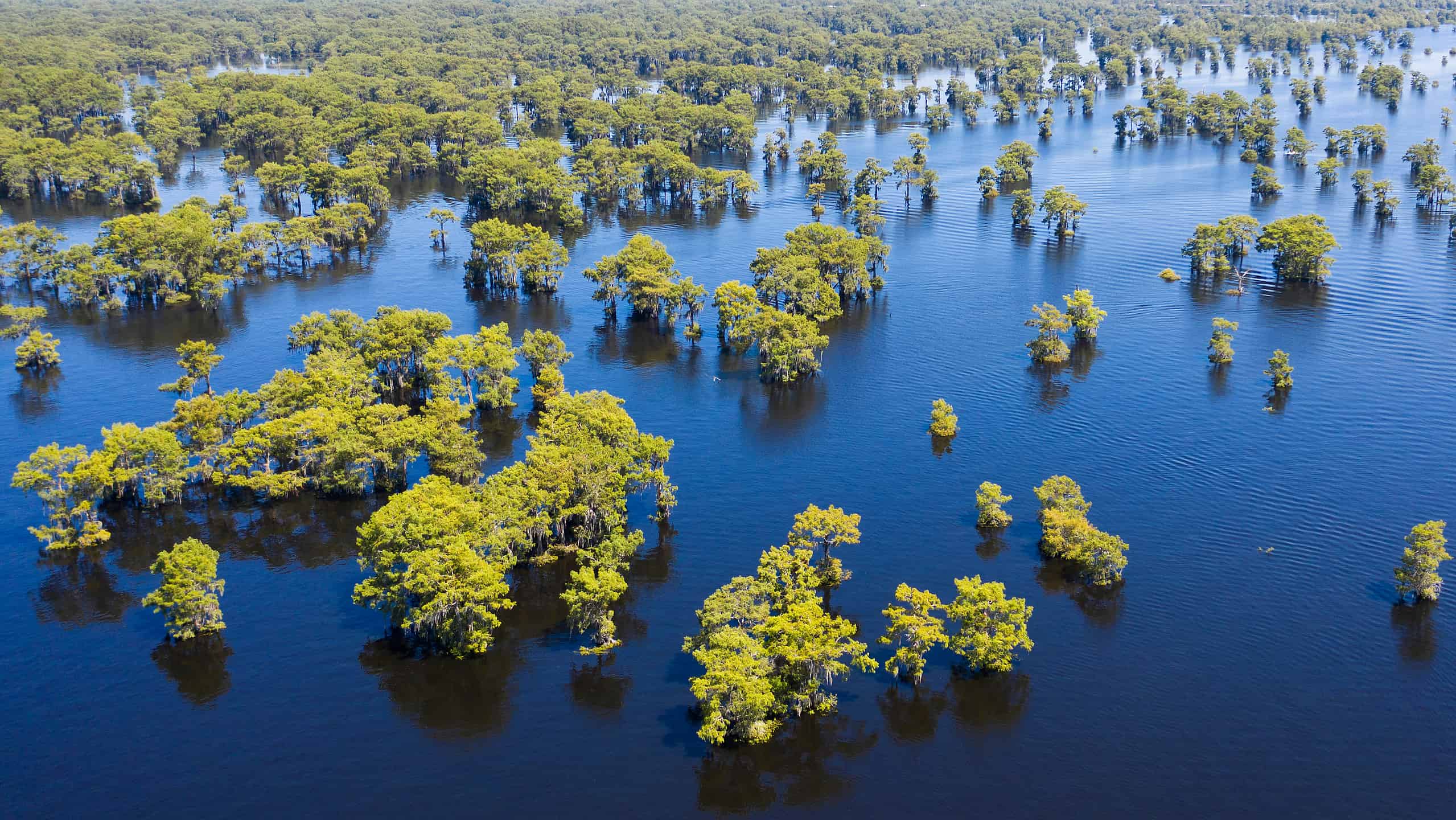 Scopri la cascata più alta della Louisiana