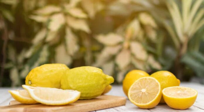 Scopri 8 odori che i moscerini odiano assolutamente
