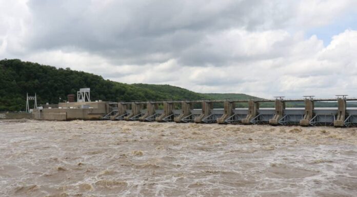 Webbers cade sul lago