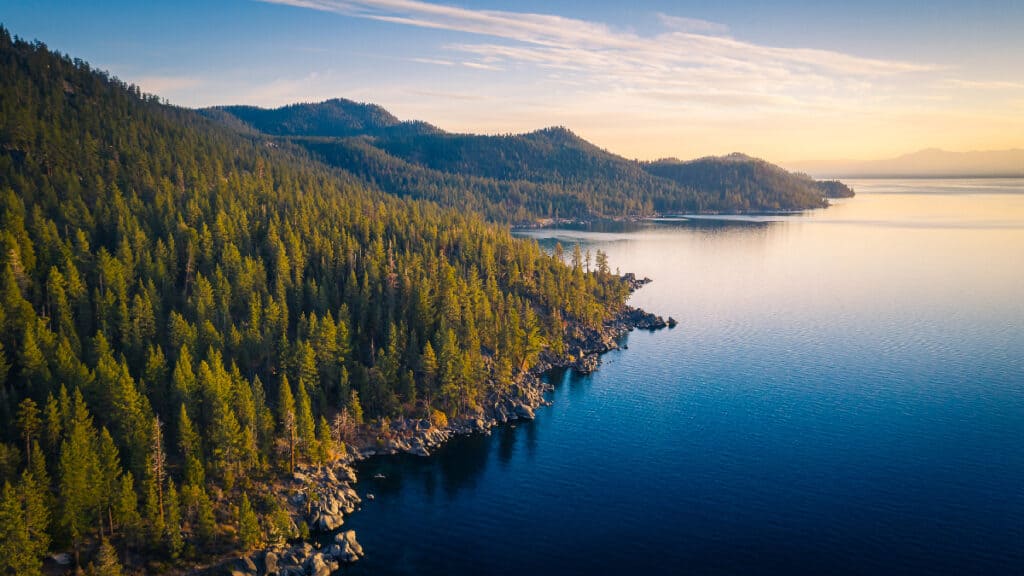 La limpidezza dell'acqua del lago Tahoe è diminuita negli ultimi anni.  Tuttavia, ci sono una varietà di mammiferi, serpenti e pesci a cui prestare attenzione durante le vacanze lì.