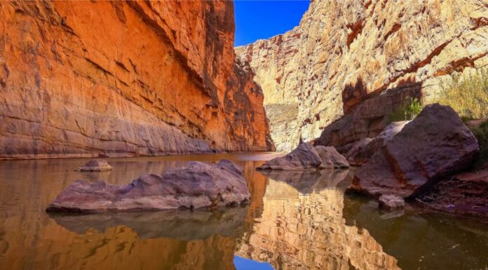 I 5 fiumi più infestati dai serpenti del Texas
