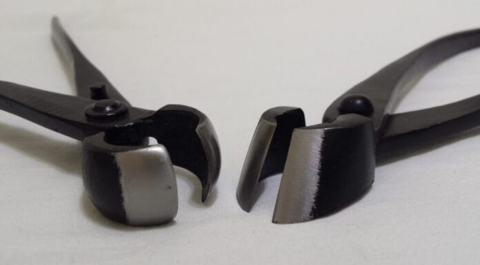 Strumenti per bonsai