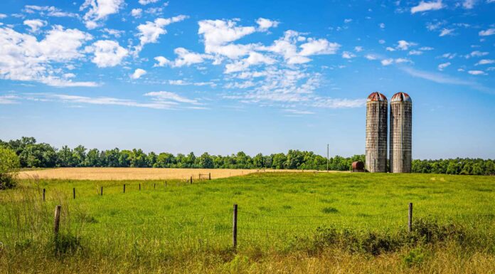 Il gigantesco silo crolla e si trasforma completamente in polvere in pochi secondi
