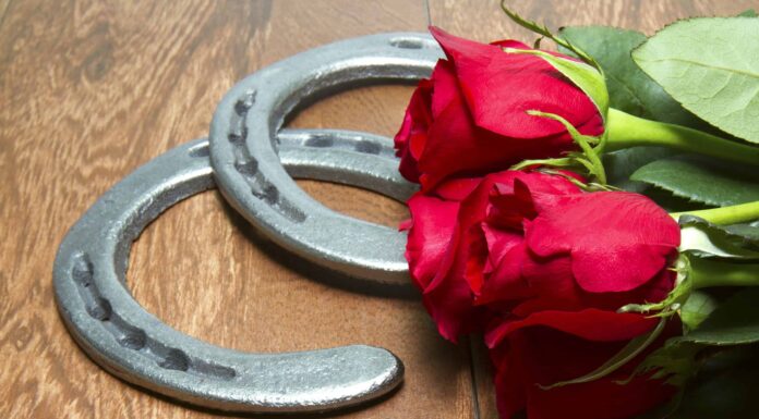 Incontra i 15 cavalli più grandi che abbiano mai vinto il Kentucky Derby
