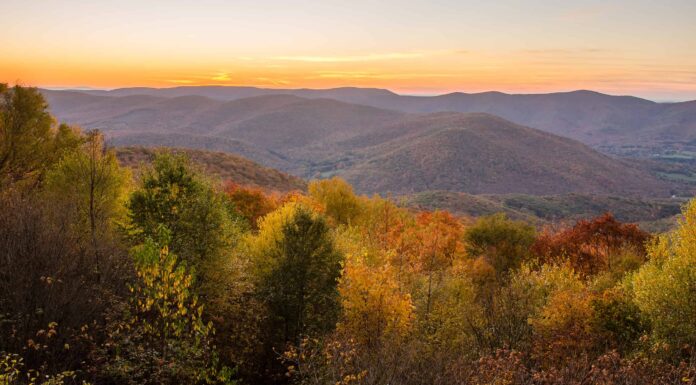 Incontra i 4 più grandi proprietari terrieri del Massachusetts

