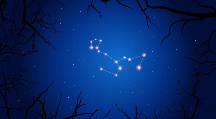 Un dipinto digitale raffigurante la costellazione della Cetus.