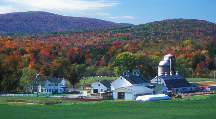 Salva Anteprima Modifica 