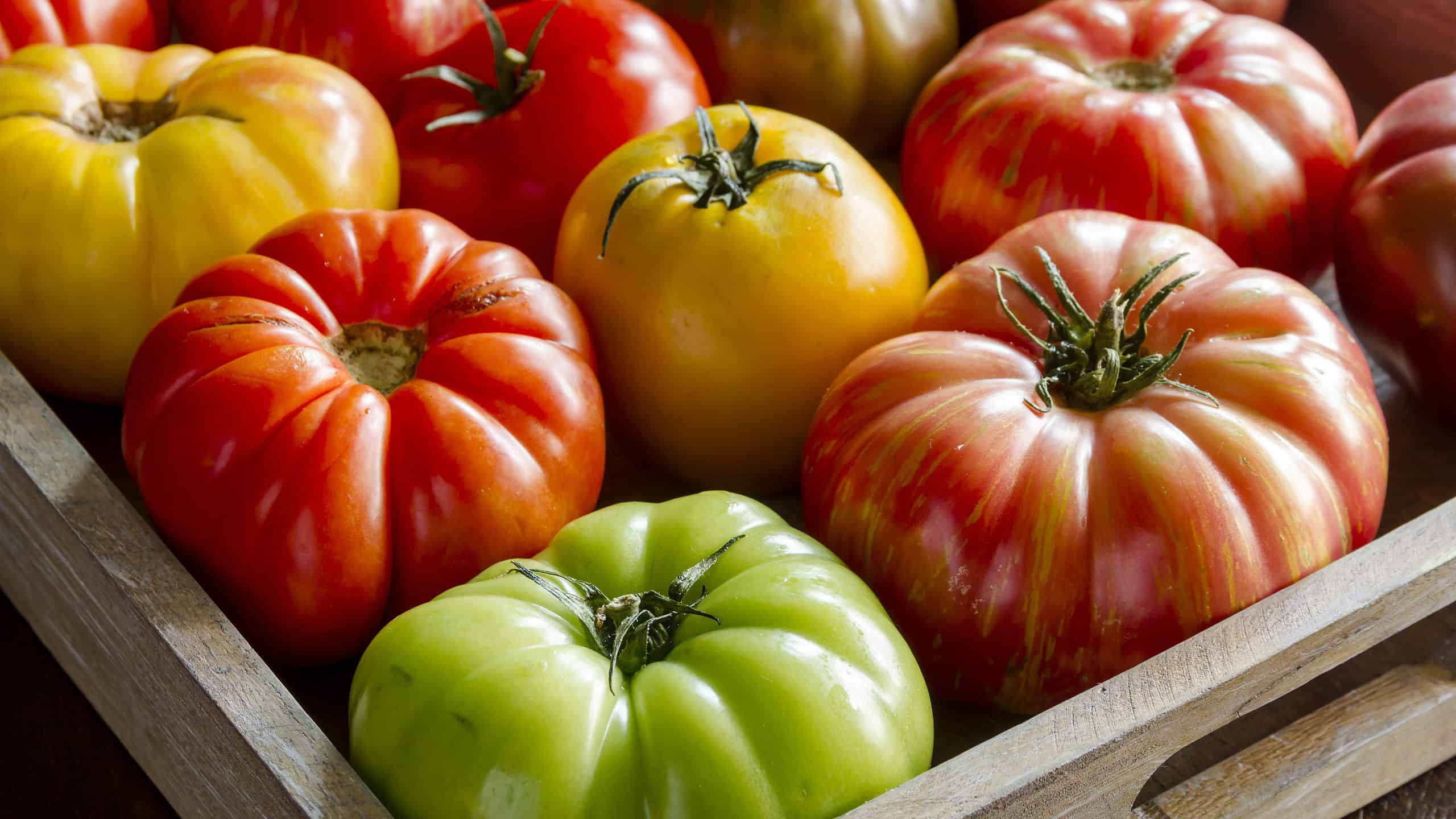 Scopri 9 tipi di pomodori da piantare questa primavera