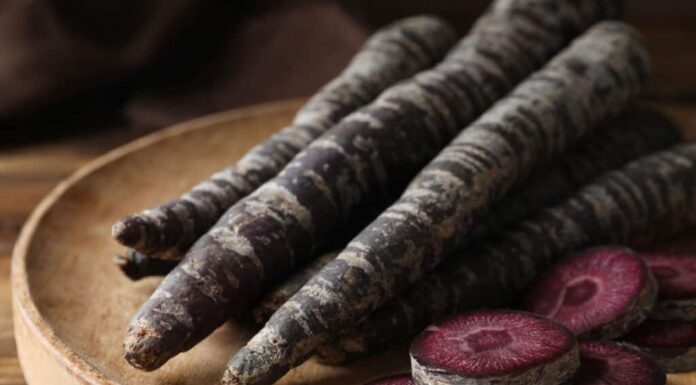 carote nebulose nere