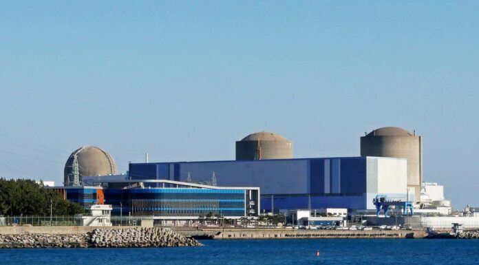 Scopri la più grande centrale nucleare in Asia (e ciò che vive intorno ad essa)

