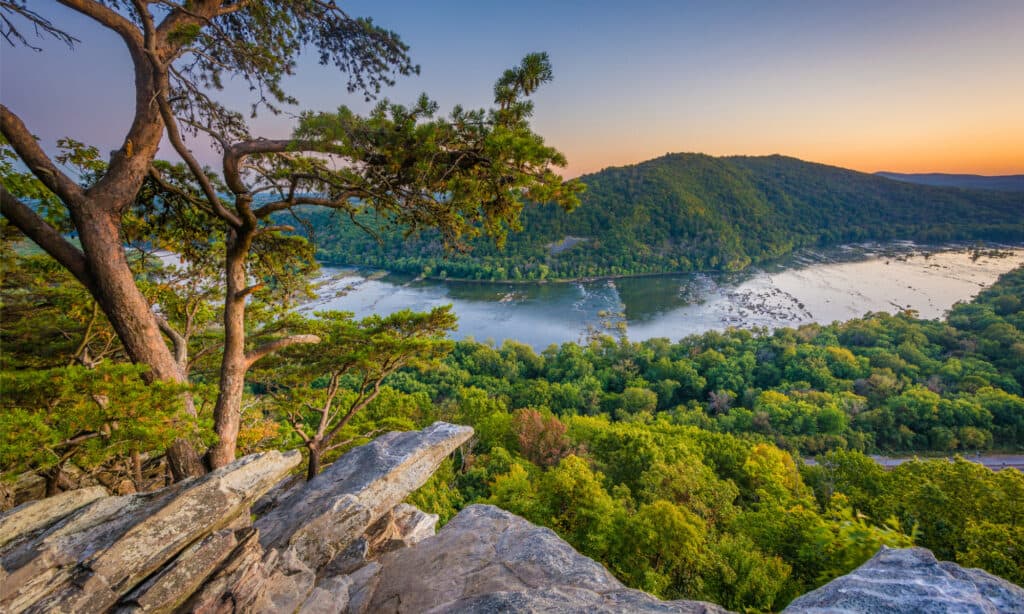 I 5 fiumi più infestati da serpenti nel Maryland