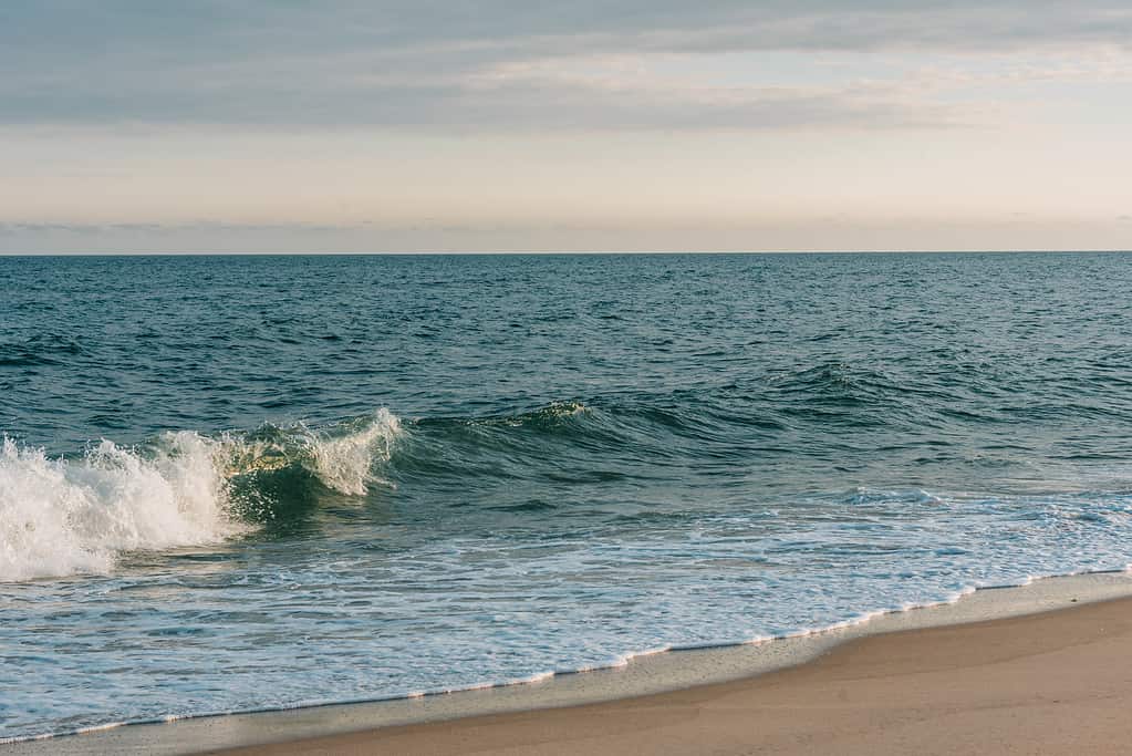 Oceano Atlantico a Hither Hills State Park